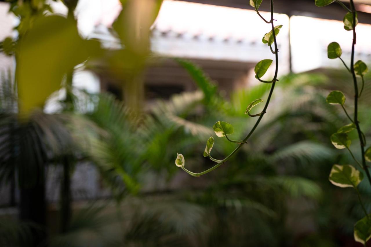 Luho Apartment Bangalore Ngoại thất bức ảnh